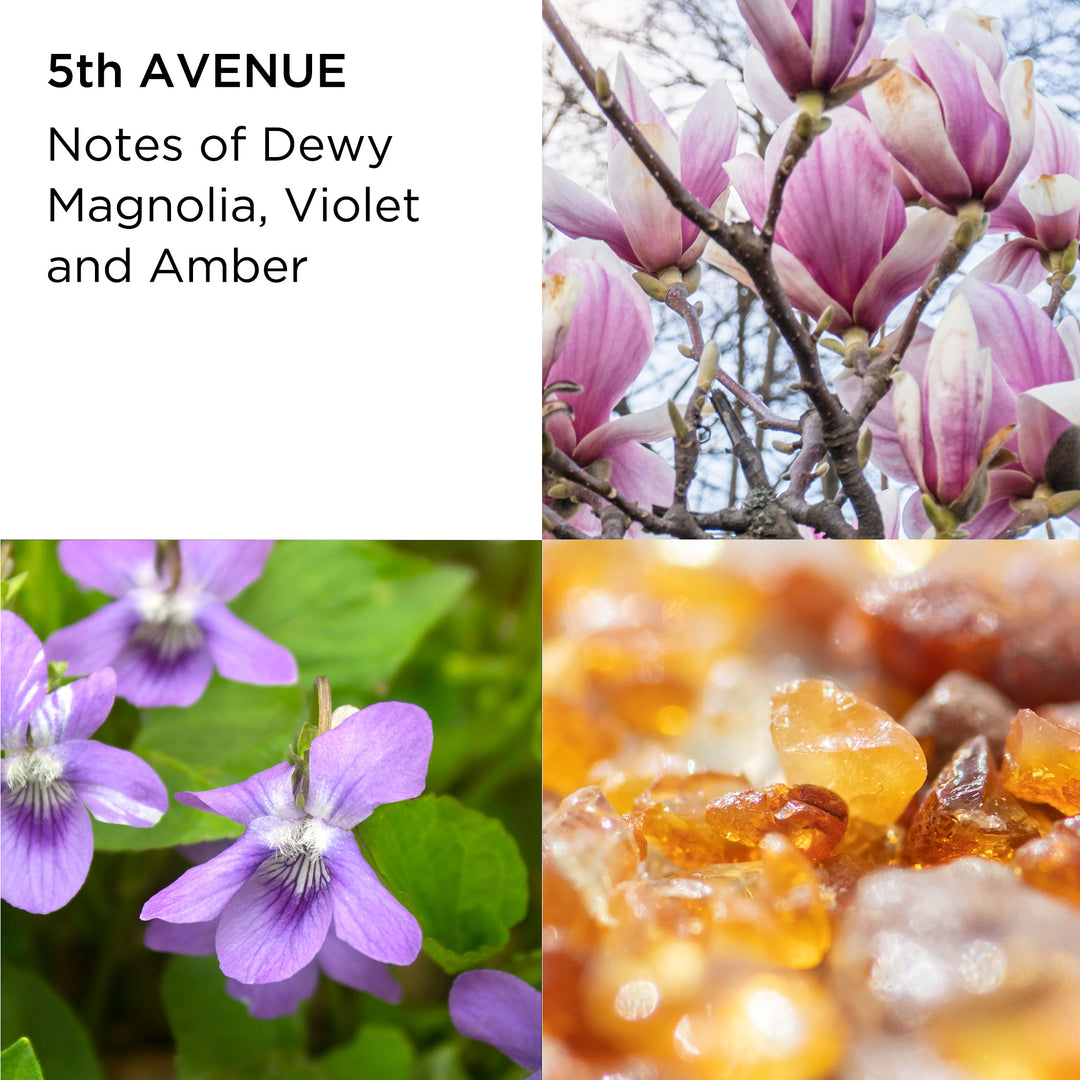 5th Avenue notes of dewy magnolia, violet and amber