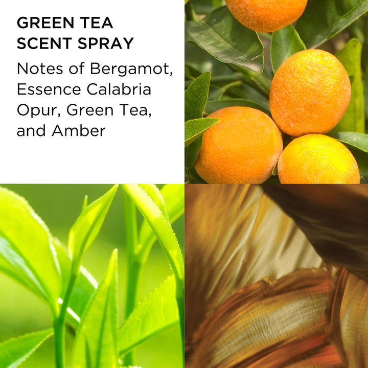 Fragrance Note Images