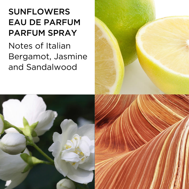 Fragrance Notes Pictured