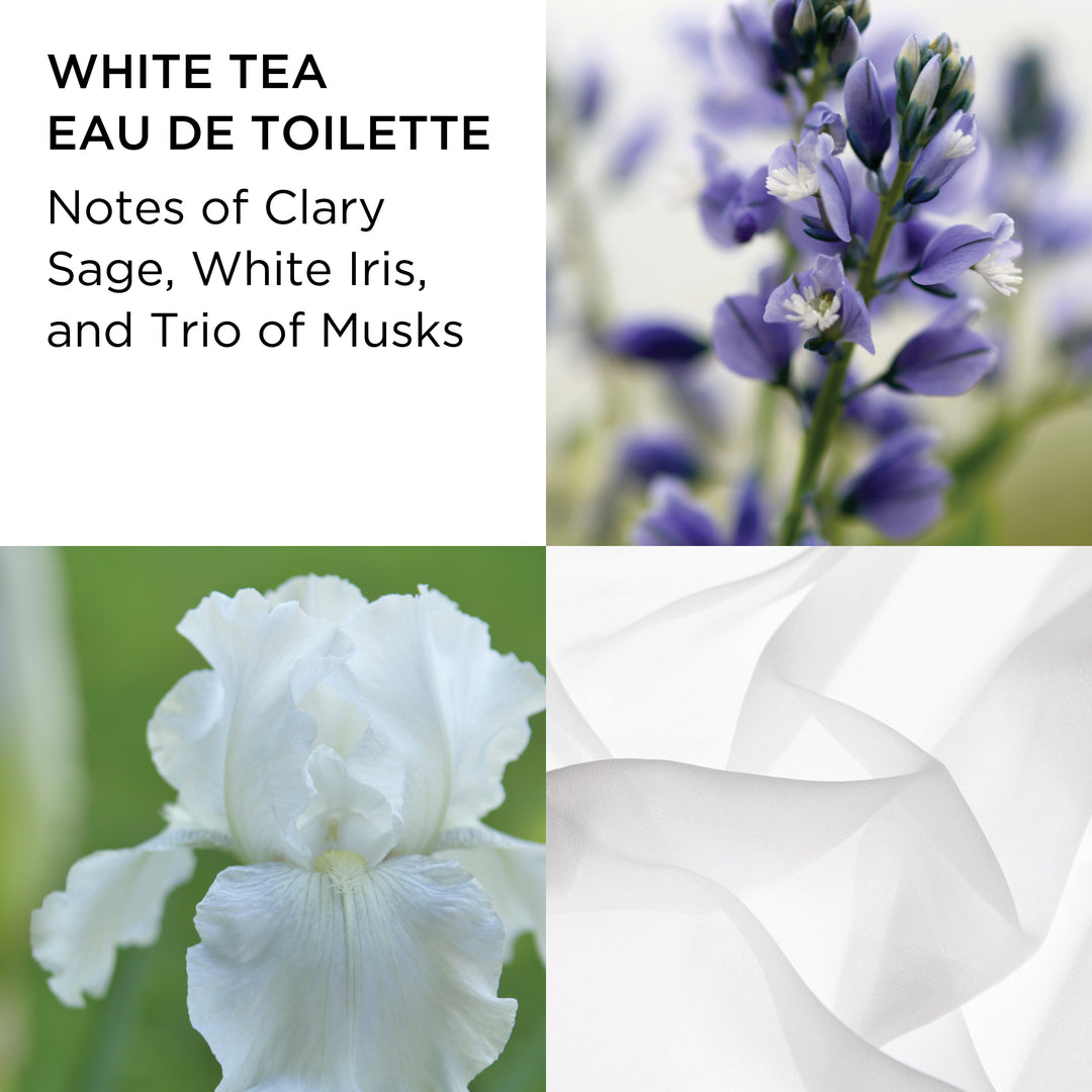 Various Eau De Toilette Notes