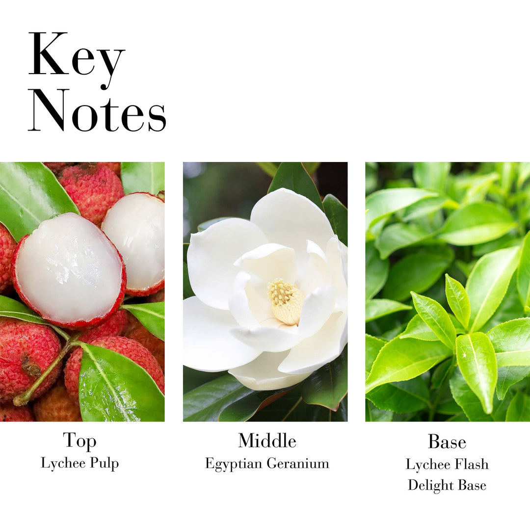 Key Notes- TOp Lychee Pulp, Middle Egyptian Geranium and Base Lychee Flash Delight Base