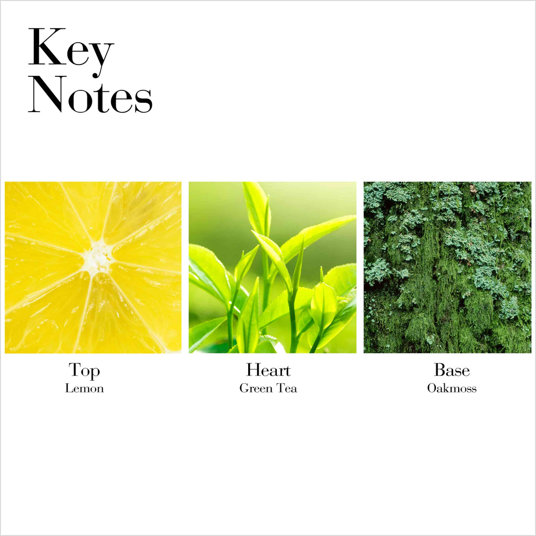 Key Notes- Top Lemon, Heart Green Tea and Base Oakmoss