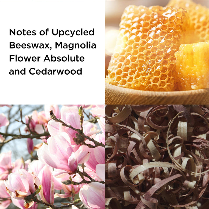 Notes of Upcycled Beeswax, Magnolia Flower Absolute and Cedarwood