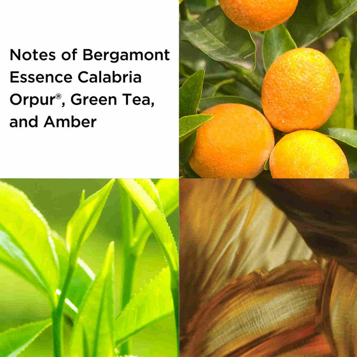 Green Tea Eau de Toilette 100ml 2-piece Set