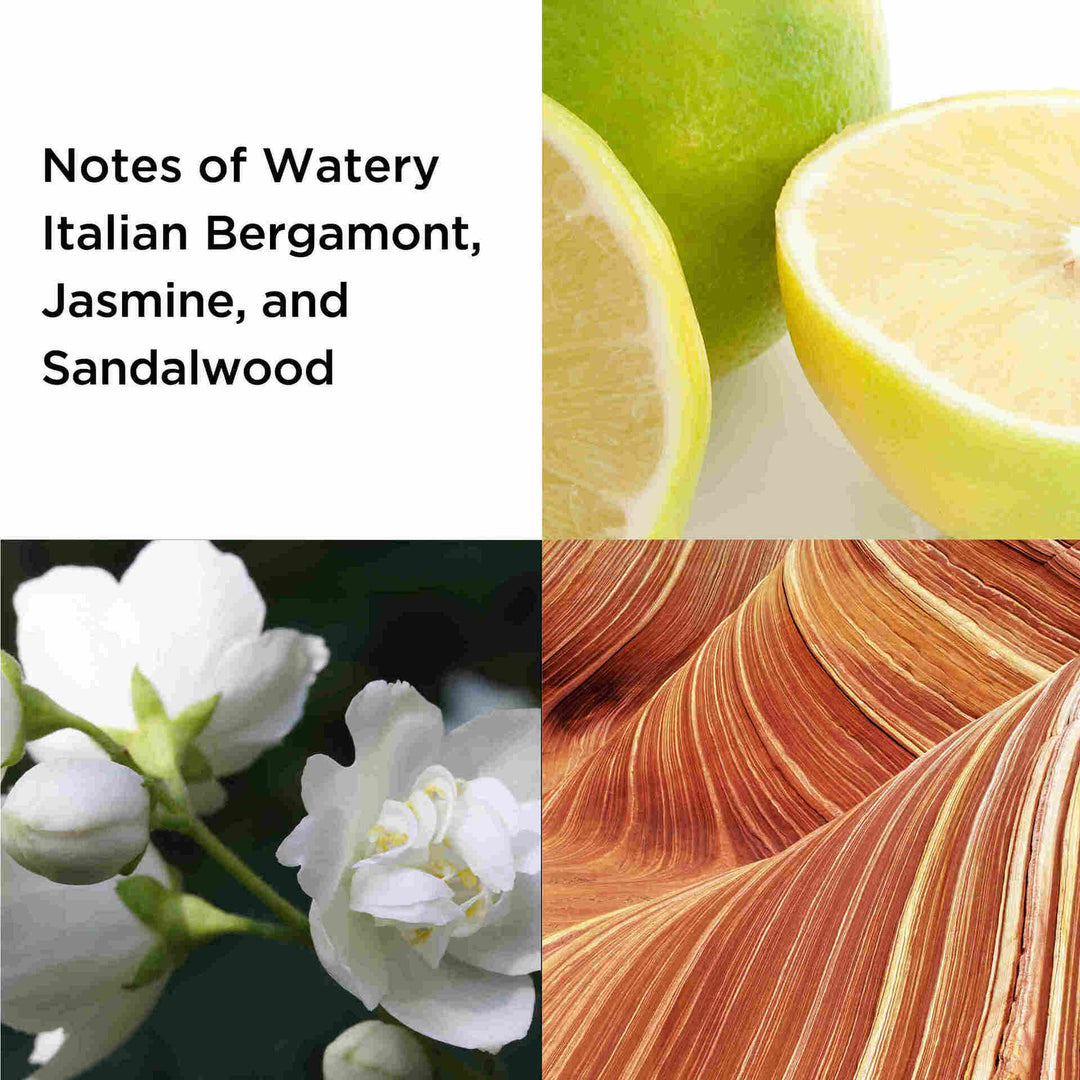 Sunflowers 100ml Eau de Parfum 2-piece Set