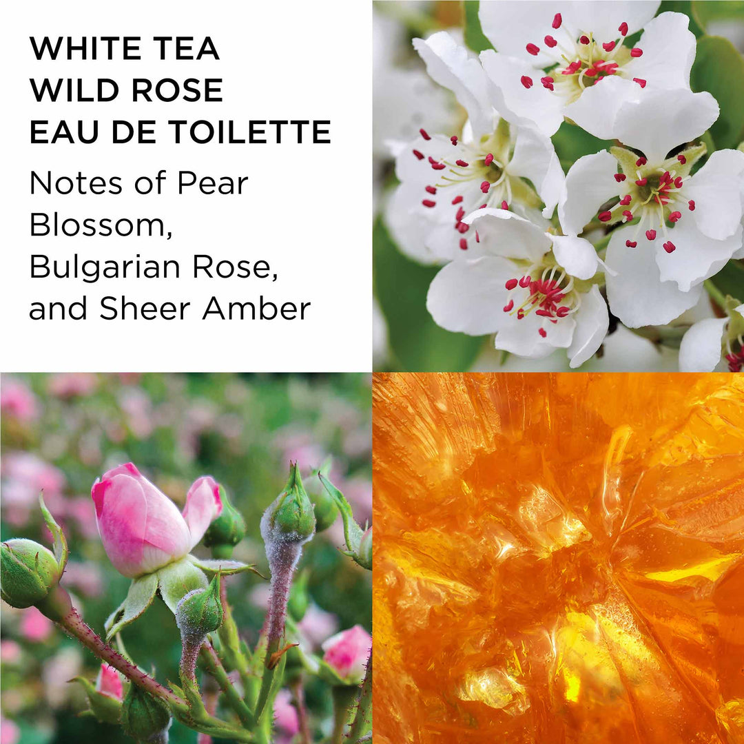White Tea Fragrance Collection Coffret 3-Piece Set