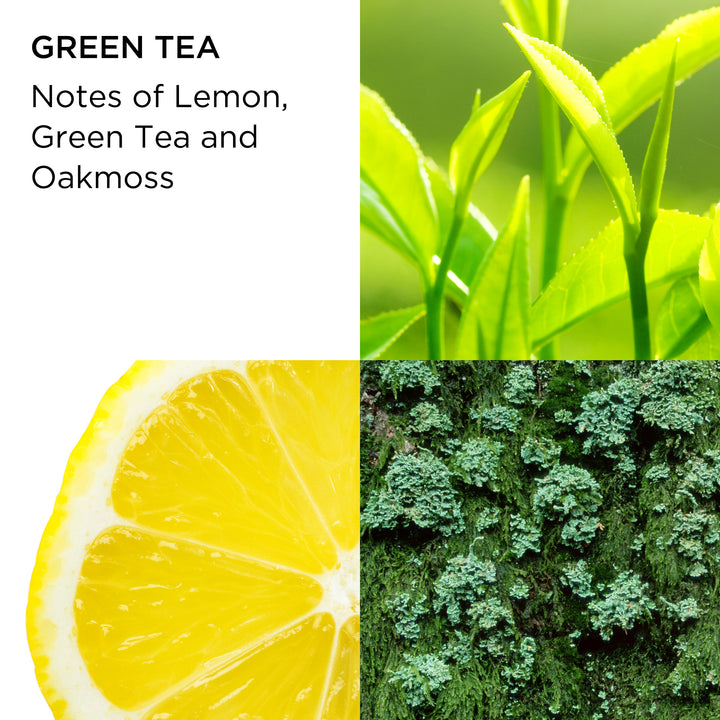 Green Tea Fragrance & Body 100ml 2-Piece Set