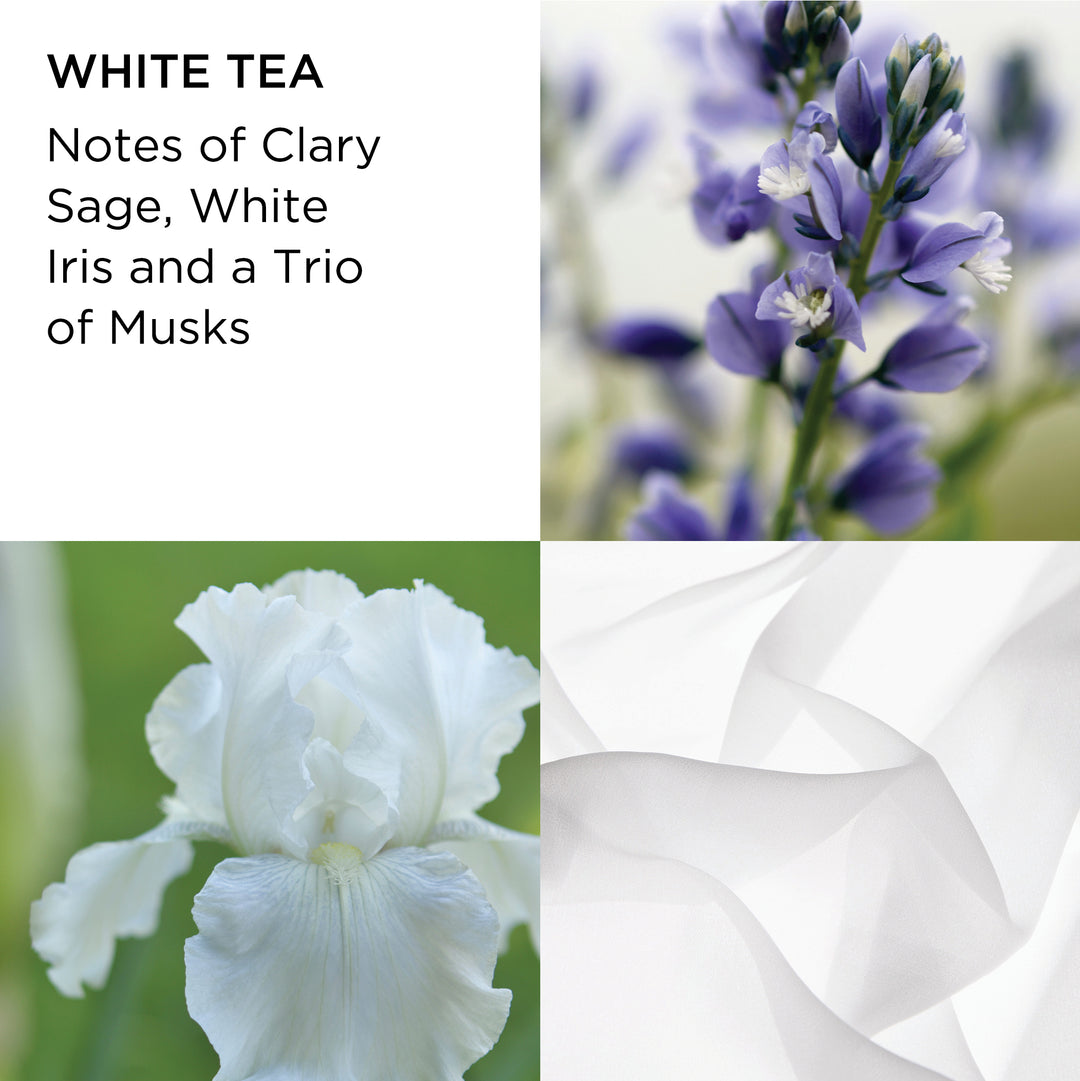 Elizabeth Arden UK Prestige Coffret, White Tea Fragrance Notes