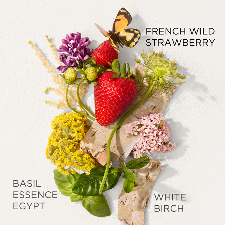 Arrangement of strawberries, basil, and flowers with text labels on a white background
